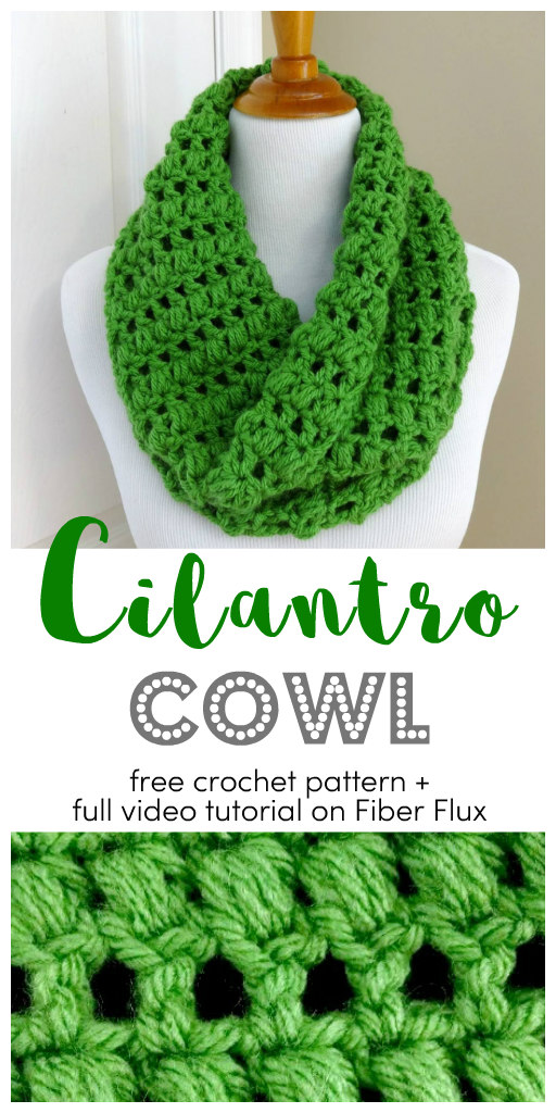 Cilantro Crochet Cowl